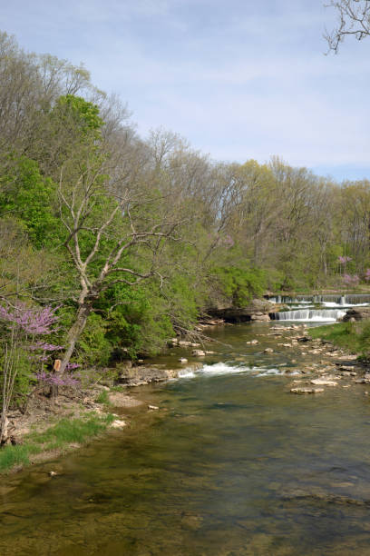 istock Pipe Creek Falls, Cass County, Indiana 2023 1489828102