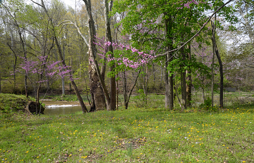Pipe Creek Cass County Indiana 2023 Stock Photo Download Image Now
