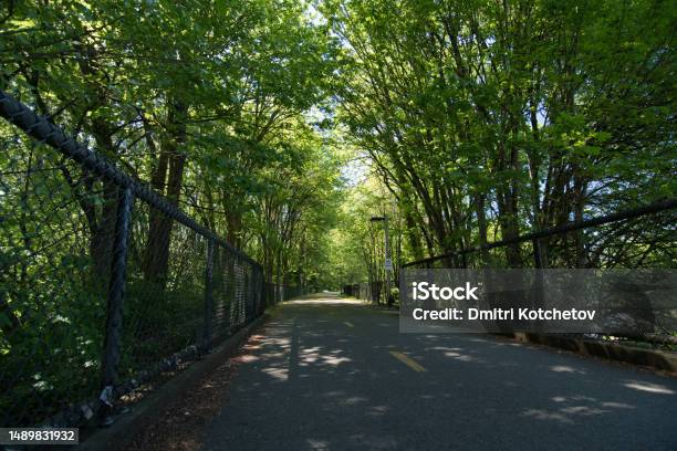 Empty Redmond Central Connector Trail On A Summer Afternoon Stock Photo - Download Image Now