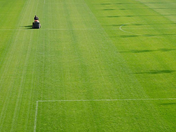 istock Mowing grass in a football stadium 148983322