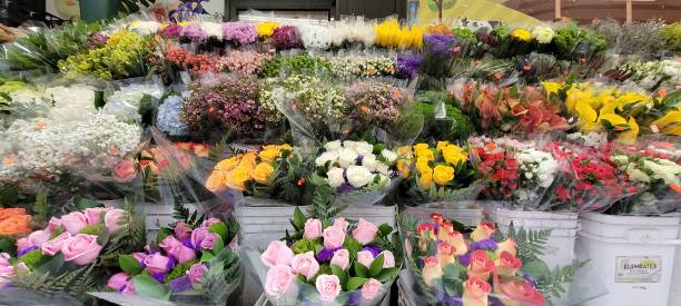 istock Flowers in a flower shop. 1489833513