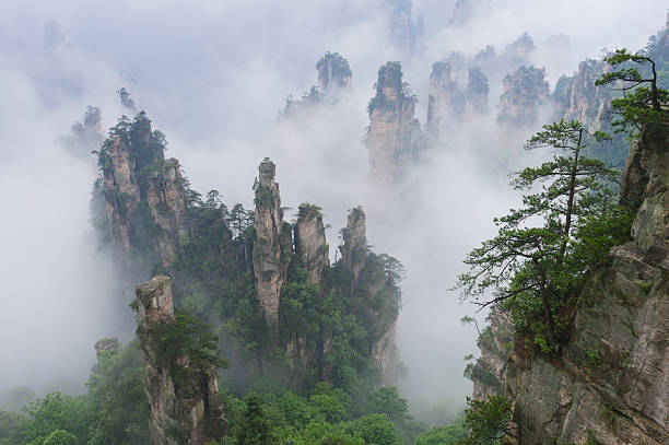 Fog in the mountains of Wulingyuan Scenic Area "Avatar mountains" in Zhangjiajie National Park, Hunan, China hunan province photos stock pictures, royalty-free photos & images