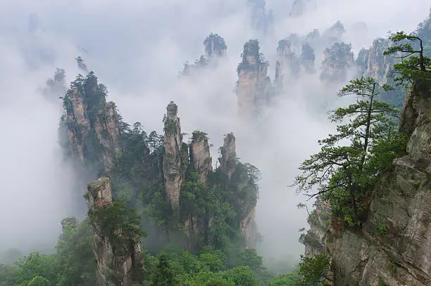 "Avatar mountains" in Zhangjiajie National Park, Hunan, China