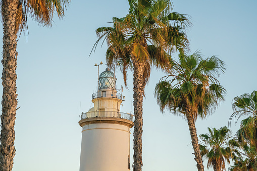 Malaga lighthouse (La Farola) and Palm Trees - Malaga, Andalusia, Spain
