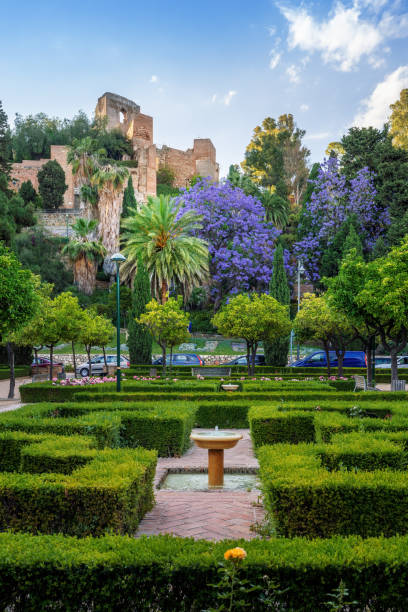 Pedro Luis Alonso Gardens with Alcazaba Fortress - Malaga, Andalusia, Spain Pedro Luis Alonso Gardens with Alcazaba Fortress - Malaga, Andalusia, Spain alcazaba of málaga stock pictures, royalty-free photos & images