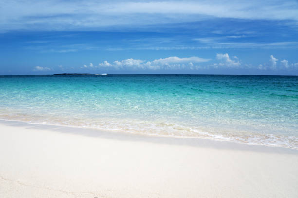 istock Pristine sandy beach in Paradise island, the Bahamas 1489852361