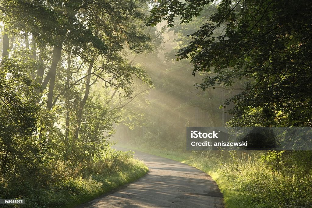 Carretera de campo al amanecer - Foto de stock de Camino libre de derechos