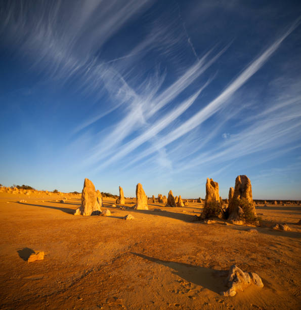 los pináculos en australia occidental - nambung national park fotografías e imágenes de stock