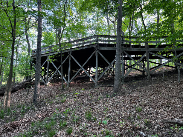istock Solitary Deck in Public Park 1489872433