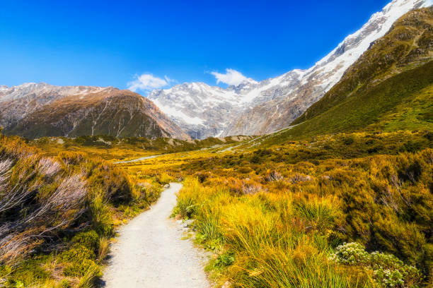 istock NZ Mt Cook track buth to mount 1489884239