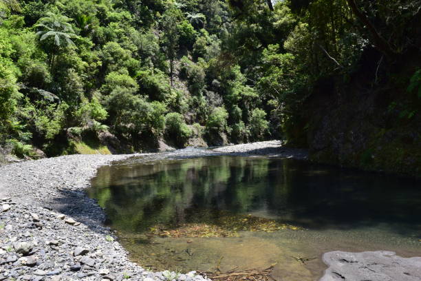 istock Ohope Beach and surrounds 1489889415