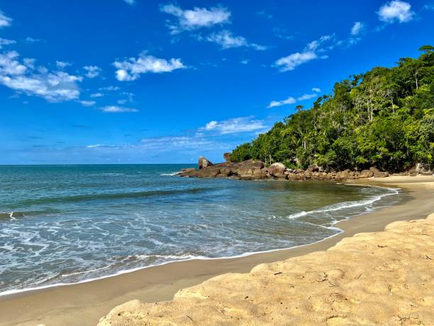 istock Beach in the early morning 1489898937