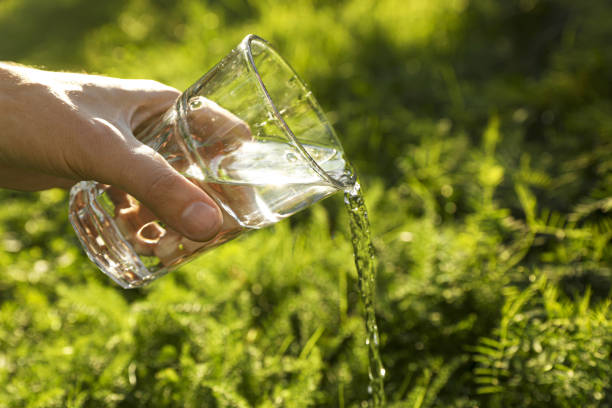 istock Man pouring fresh water from glass outdoors, closeup 1489899853