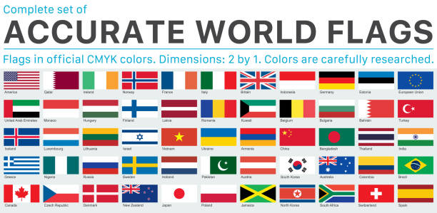 공식 cmyk 색상의 정확한 세계 국기 - ireland south africa stock illustrations