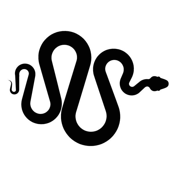 snake vector icon snake vector icon illustration design black mamba stock illustrations