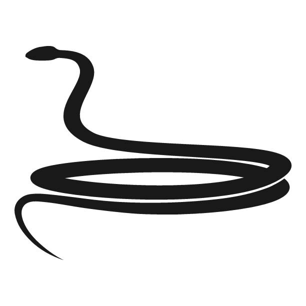 snake vector icon snake vector icon illustration design black mamba stock illustrations