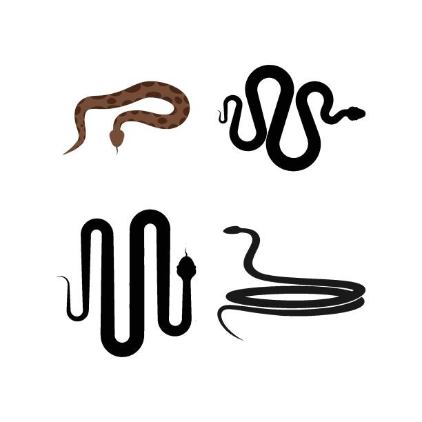 snake vector icon snake vector icon illustration design black mamba stock illustrations