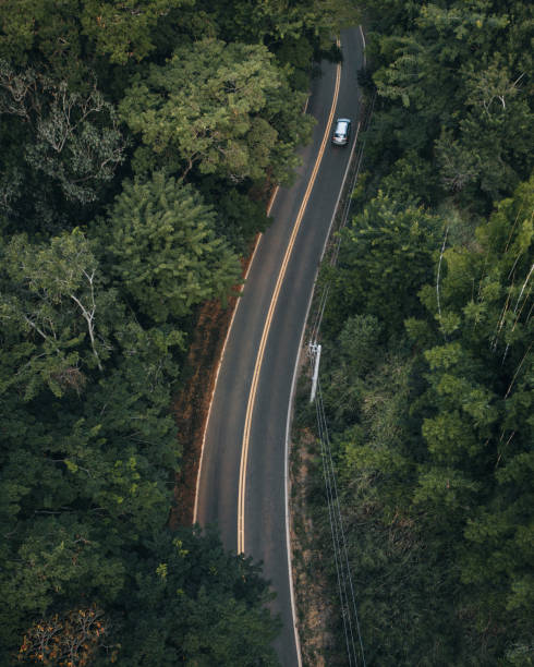 автомобиль на извилистой дороге в красивом лесу - car prowler стоковые фото и изображения