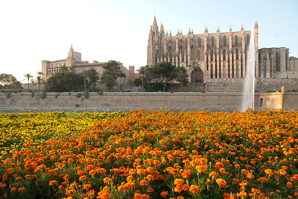 istock Cathedral Palma de Mallorca, Balearic Islands 148992580