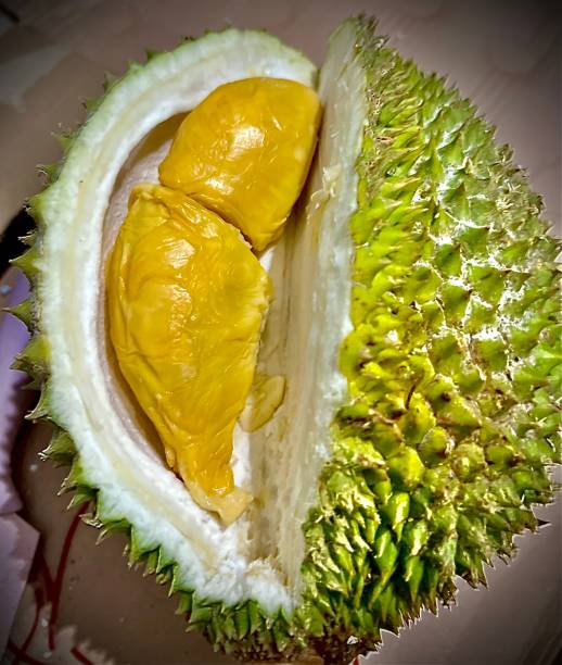 istock Smell of Durian 1489926280