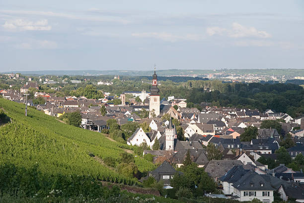 istock grape vine field for riesling with rudesheim village 148992818
