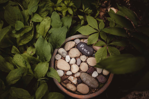 Potted plants on the background of a stone wall