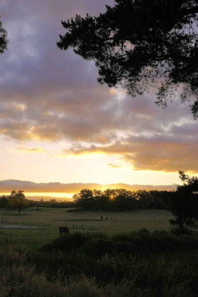 istock Lal Lal, Victoria, Australia 1489939650