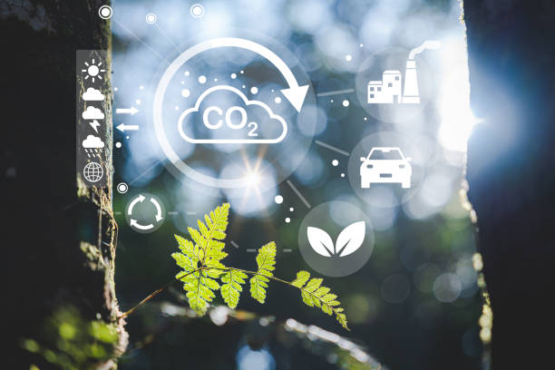 istock Renewable energy-based green businesses can limit climate change and global warming, Sustainable development and business based on renewable energy, Reduce CO2 emission and co2 footprint concept 1489946711