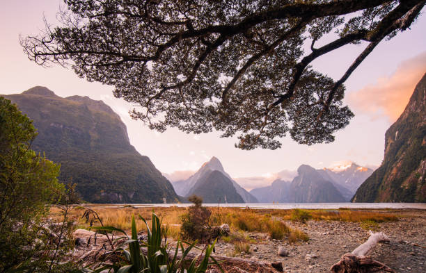 istock Magnificent panoramic view of Milford Sound. 1489946950