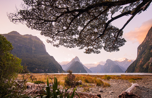 Magnificent panoramic view of Milford Sound , South island, New Zealand.