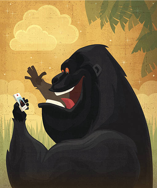 szczęśliwy gorilla rozmawiać - telephone chimpanzee monkey on the phone stock illustrations