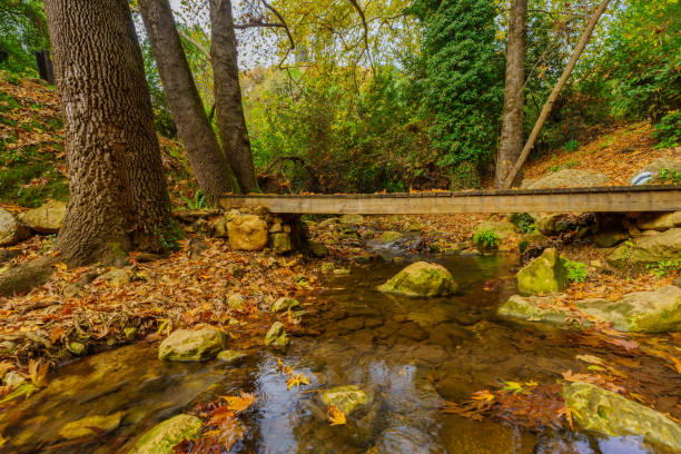 istock Stream, foliage, footbridge, and trail marks, Amud Stream Nature Reserve 1489949303