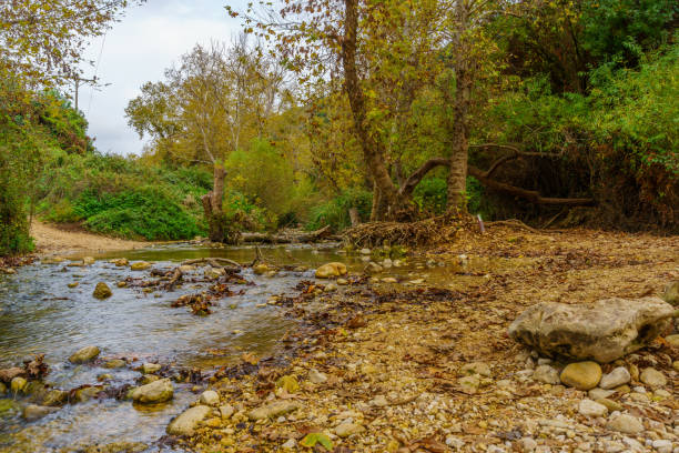 istock Ein Hardalit Nature Reserve, and the Kziv stream 1489949320