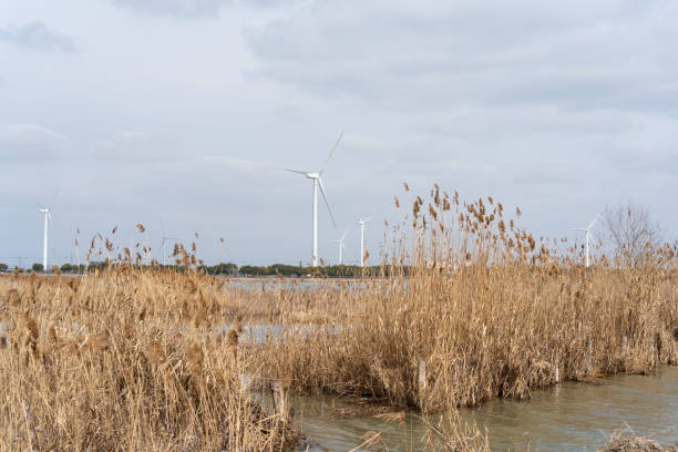 Wind turbines in the suburbs. Clean energy and carbon neutrality concept
