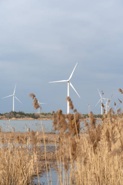 istock Wind turbines in the suburbs 1489953761