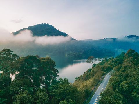 Drone point of view lake rural area in the morning s