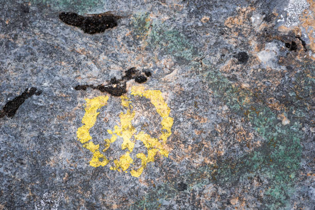 istock the texture of a natural stone in the forest 1489957426