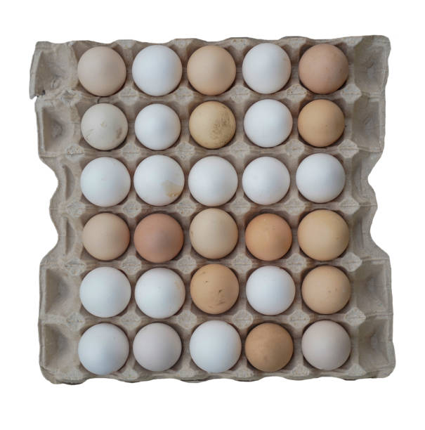 istock Organic egg pack isolated on white background, top view, organic food 1489958365
