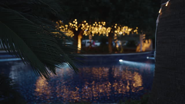 Palm trees and a blue pool with evening lighting. Trees with lanterns in the background.