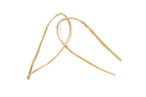 istock Rope closeup on white background isolated. 1489958762