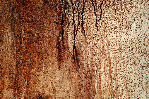 Full-frame view of the texture of old cooking oil trickling down a white kitchen wall.
