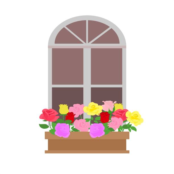 Window Box Flower Drawing 50+ Flower Box Garden Stock Illustrations, Royalty-Free Vector Graphics ...