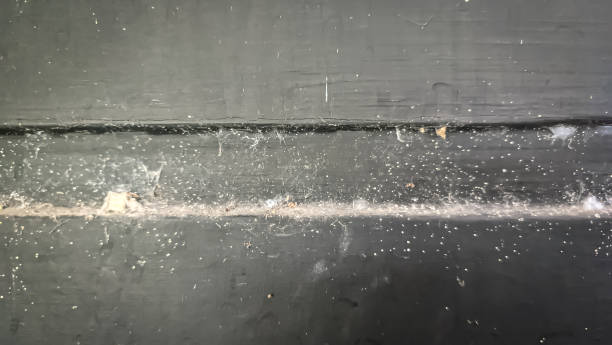 istock Dusty walls and cobwebs 1489962793