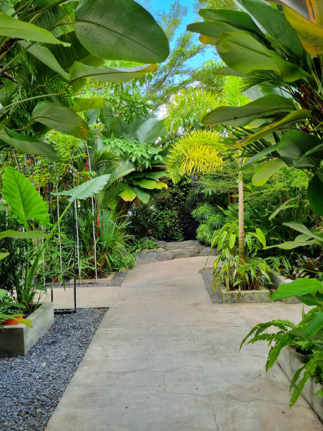 istock beautiful garden with various tropical ornamental plants 1489964049