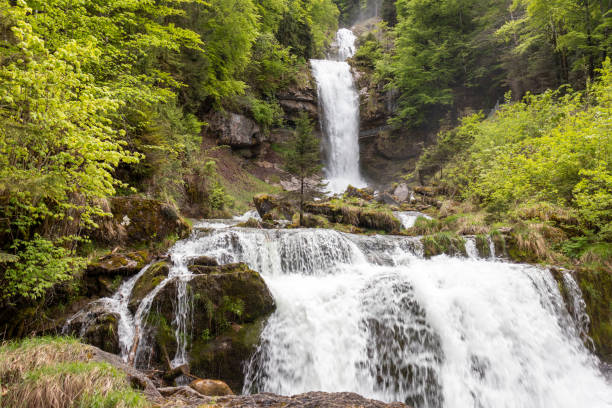 wasserfälle giessbach im berner oberland, schweiz. der giessbach-wasserfall fließt in den brienzersee in interlaken, schweiz. giessbachfälle am brienzersee im berner oberland in der schweiz - brienz mountain landscape lake stock-fotos und bilder