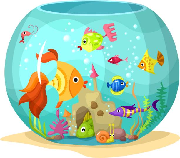 aquarium vector art illustration