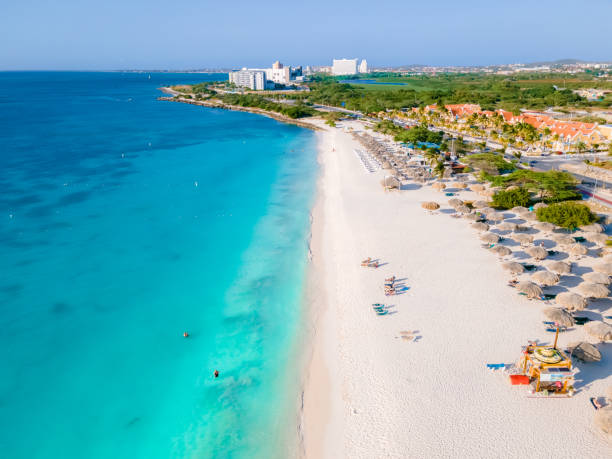istock Eagle Beach Aruba, Palm Trees on the shoreline of Eagle Beach in Aruba, 1489975145