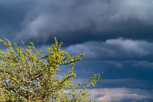 Rugged landscape in Dalmatia and stormy clouds.