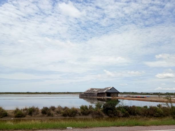 istock salt field in Thailand 1489984475