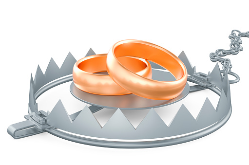 Bear trap with wedding rings, 3D rendering isolated on white background